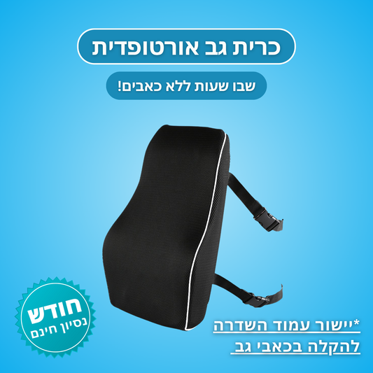 כרית גב אורטופדית מספוג זיכרון